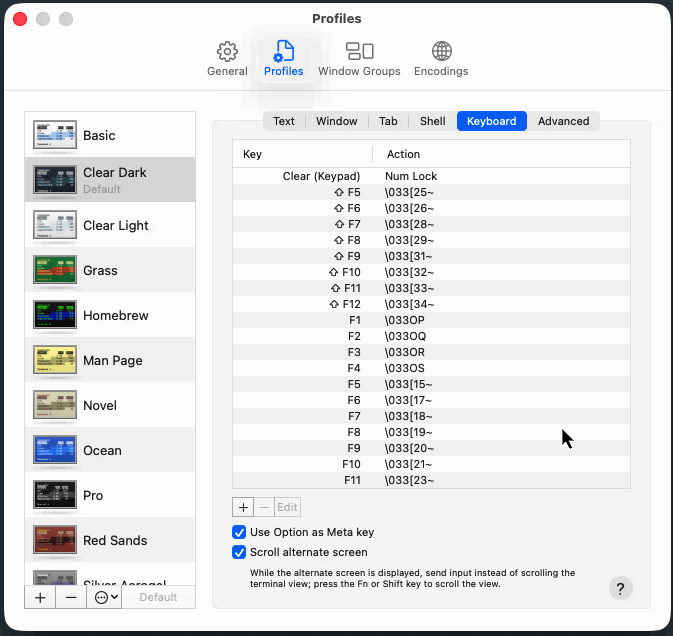 Terminal Option as Meta